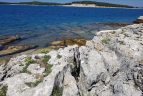 Rejtett paradicsom a foldon brijuni nemzeti park