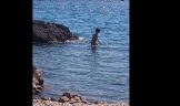 Fkk beach tomazevo krk horvatorszag