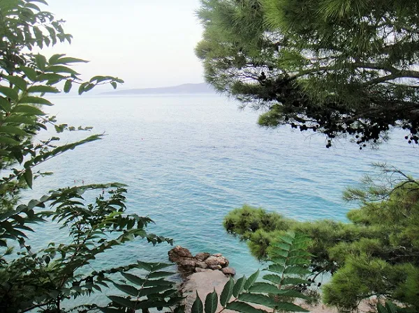 Pogled