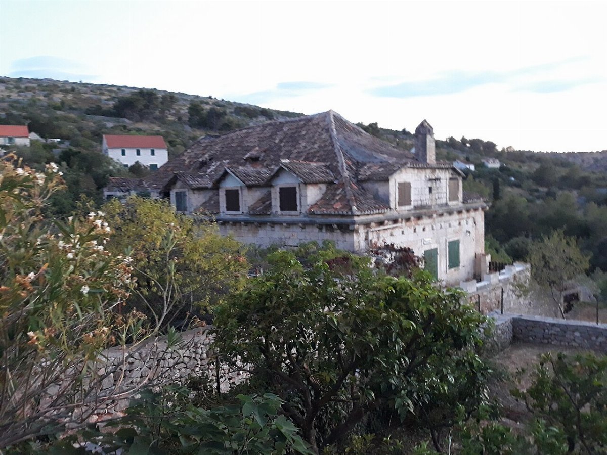 Cerinic gligo haz bobovisca