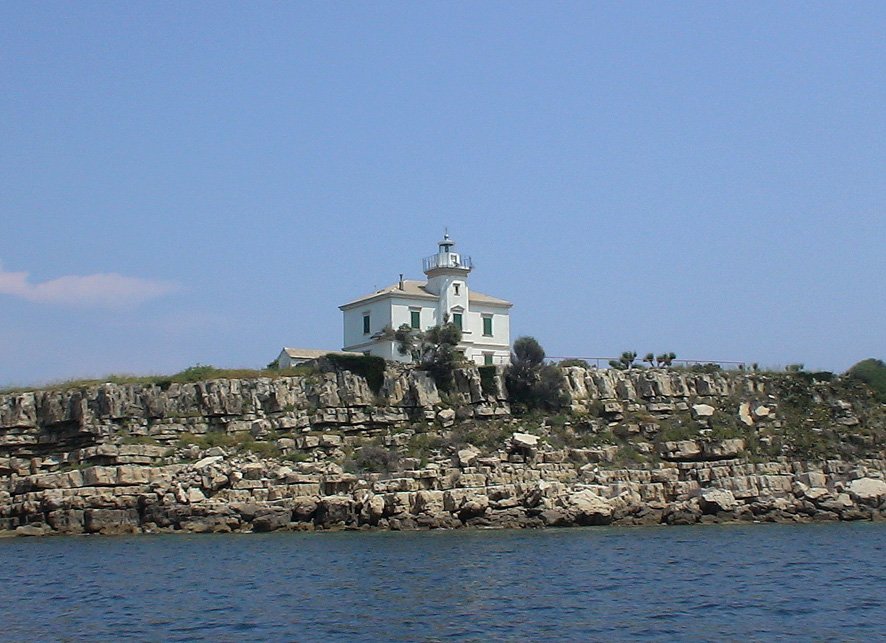 Plocice vilagitotorony blato